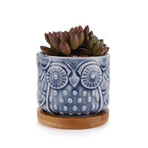 Ceramic Owl  Pot