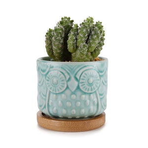 Ceramic Owl  Pot