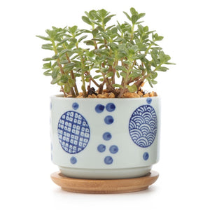 Ceramic Japanese  Pot