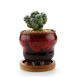 Ceramic  Planter Pot
