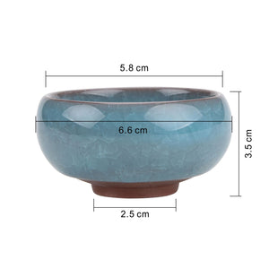 Ceramic Ice Pot