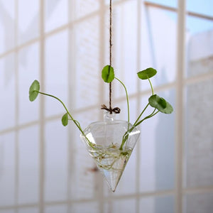 Flower Hanging Vase
