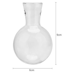 Glass Hydroponics Pot